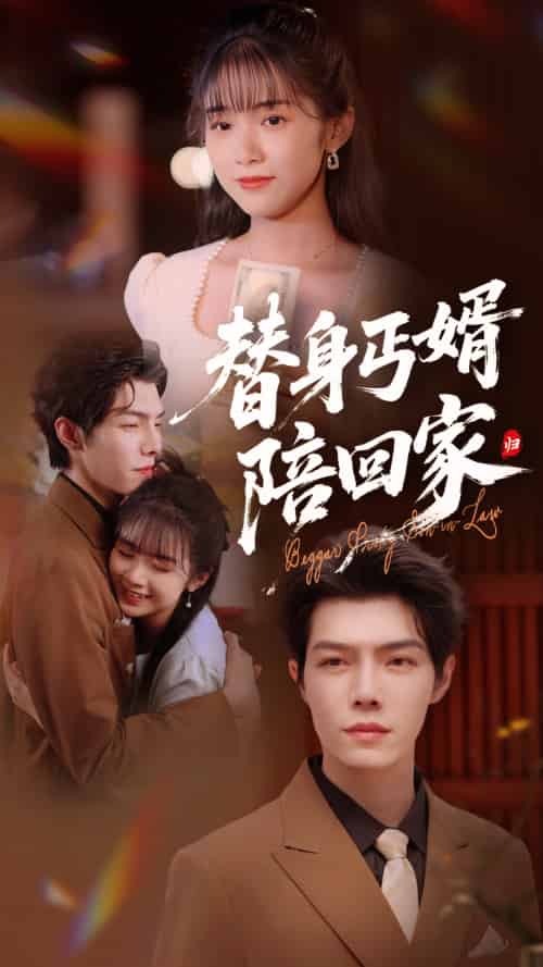 替身丐婿陪回家(35集)项云&高铭屿-搜外项目网