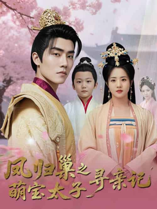 凤归巢之萌宝太子寻亲记(53集)陈云汐-搜外项目网