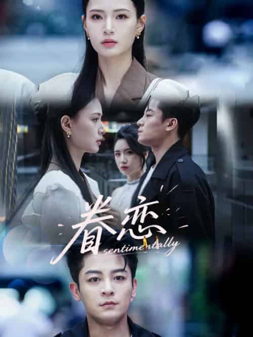 眷恋（56集）丁敬一＆孙淇渲-搜外项目网