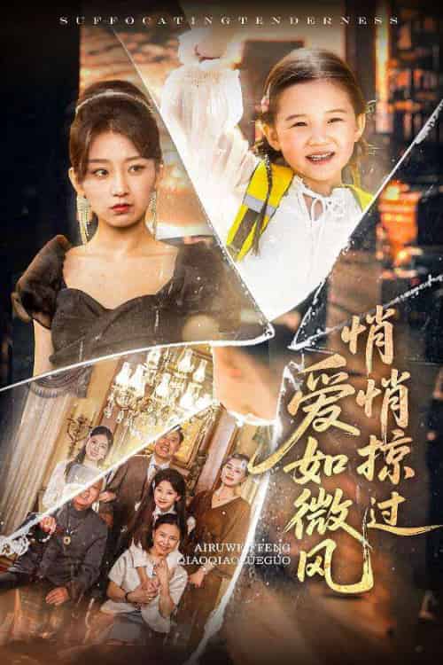 爱如微风悄悄掠过(52集)王倩&姚宏博-搜外项目网