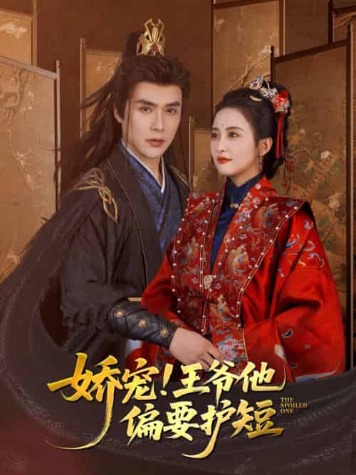 娇宠!王爷他偏要护短（80集）何索＆雷笑语-搜外项目网