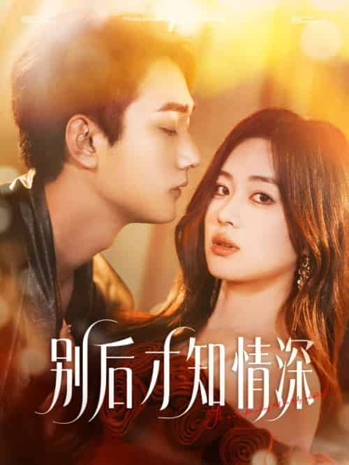 别后才知情深(60集)李文翰&杨雪玉-搜外项目网