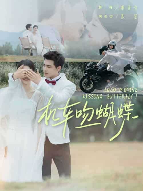 机车吻蝴蝶（81集）靳旺＆何田田-搜外项目网