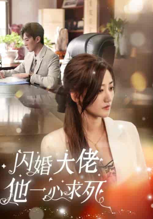 闪婚大佬他一心求死（36集全）顾庭安＆江梨-搜外项目网