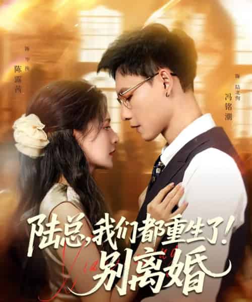 陆总，我们都重生了！别离婚（79集）冯铭潮＆陈露茜-搜外项目网