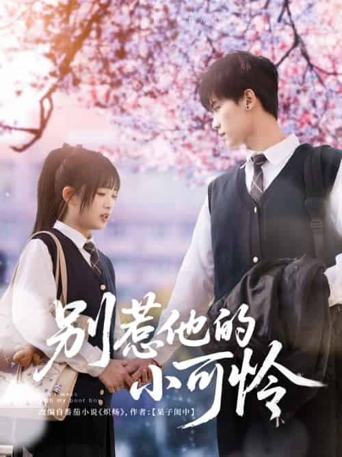 别惹他的小可怜（87集）张洪鸣＆莉莉崽-搜外项目网