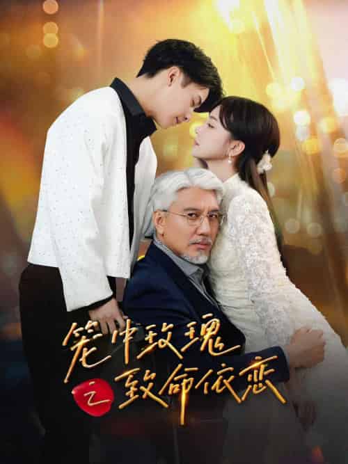 笼中玫瑰之致命依恋（50集）赵菲＆纪俊良-搜外项目网