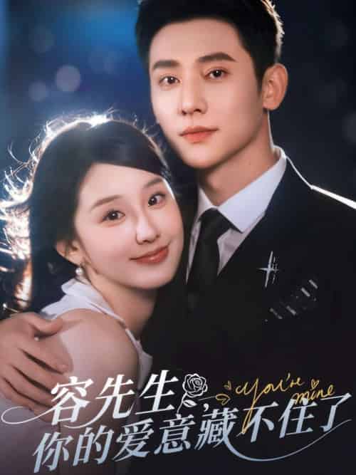 容先生你的爱意藏不住了(75集)于轩鸿灏&王燕飞-搜外项目网
