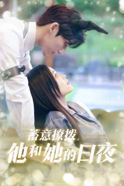 蓄意撩拨他和她的日夜（50集）宾淑贤＆吴瑜珂-搜外项目网