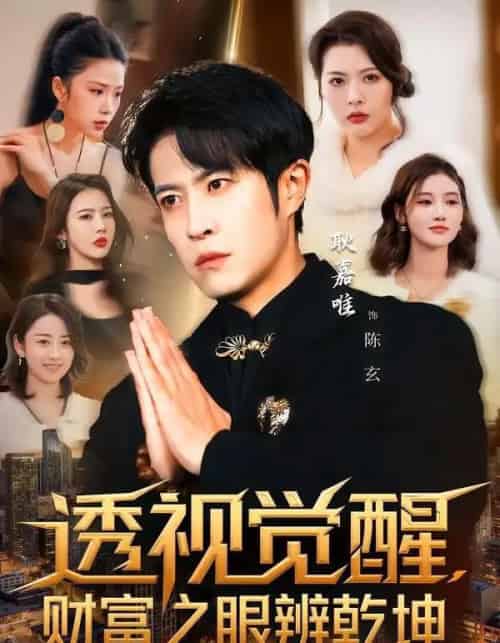 透视觉醒，财富之眼辨乾坤（70集全）耿嘉唯＆苏见欢-搜外项目网