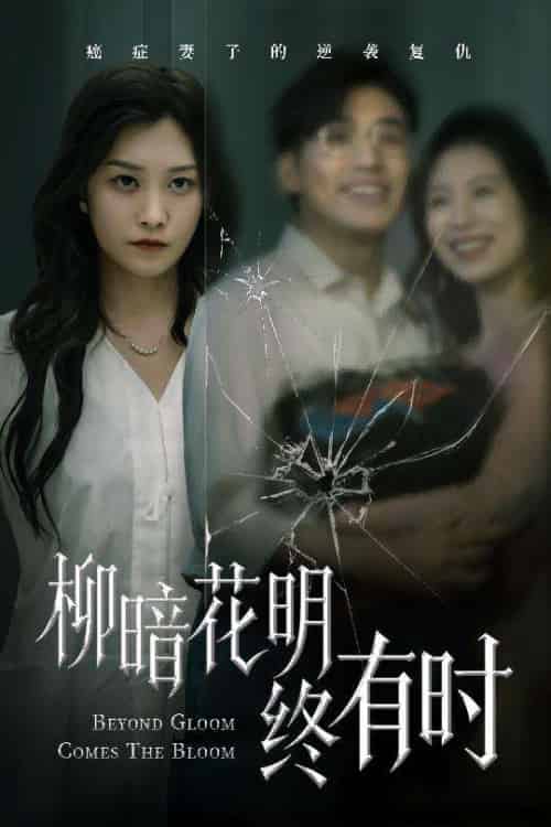 柳暗花明终有时(50集)张宇翔&李沿熹-搜外项目网