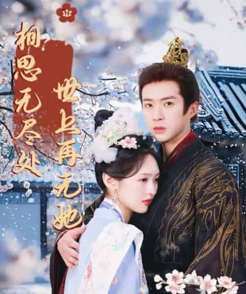 相思无尽处世上再无她（80集）李媛菁＆孔奇力-搜外项目网