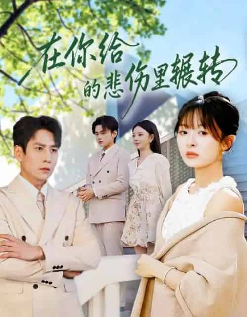 在你给的悲伤里辗转(73集全)程琳淼&詹琸-搜外项目网