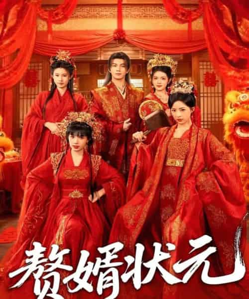 赘婿状元(79集全)郭岩松&吕彦霏-搜外项目网