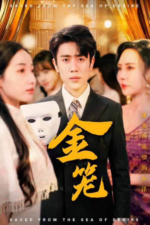 金笼（31集全）周越＆徐忠慧＆高蕊＆江婉秋-搜外项目网