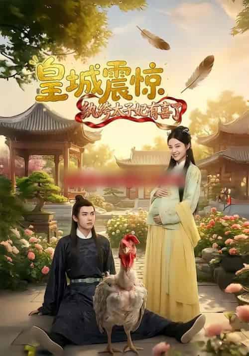 皇城震惊纨绔太子妃有喜了（81集全）AI-搜外项目网