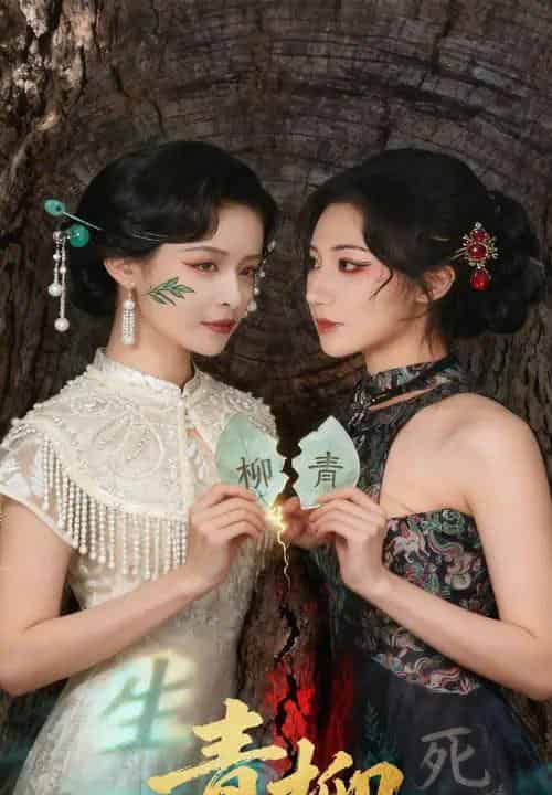 青柳（79集全）沈国洋＆王思瑾-搜外项目网