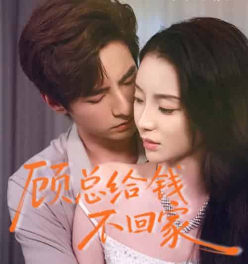 顾总给钱不回家（68集全）李豪＆丁坤-搜外项目网