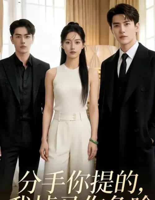 分手你提的，我掉马你急啥（35集全）AI-搜外项目网