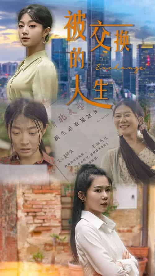被交换的人生（37集）-搜外项目网