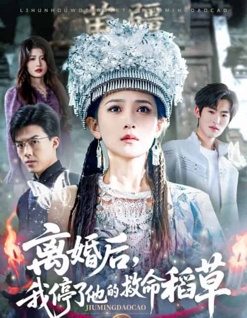 离婚后，我停了他的救命稻草（60集全）于金金＆白龙-搜外项目网