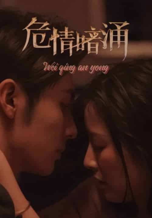 危情暗涌（81集全）时洵＆苏安然-搜外项目网