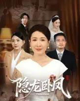 隐龙卧凤（72集全）杨晓彤＆郑天阳-搜外项目网