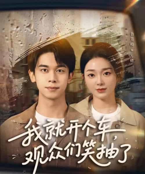 我就开个车，观众们笑抽了（80集全）胡文飞＆鲁芳岐-搜外项目网