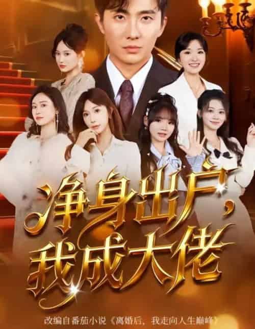 净身出户，我成大佬（80集全）刘珈睿＆裴亨娜-搜外项目网