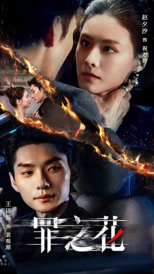 罪之花(56集全)王译磊&赵夕汐-搜外项目网