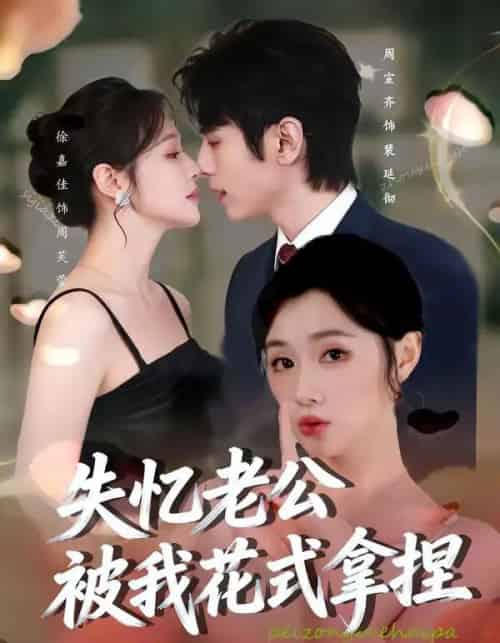失忆老公被我花式拿捏（86集全）周宣齐＆徐嘉佳-搜外项目网