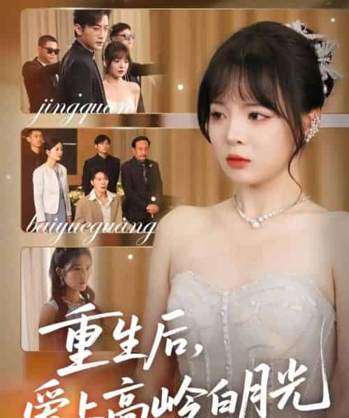 重生后爱上高岭白月光(67集)冠霖&唐七七-搜外项目网