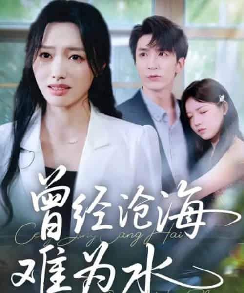 曾经沧海难为水（60集全）韩旭＆王梦佳-搜外项目网