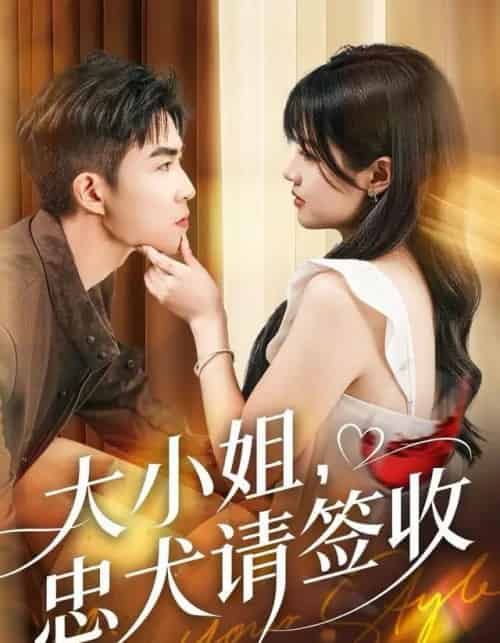 大小姐，忠犬请签收（61集全）曹千祎＆关丁弋-搜外项目网