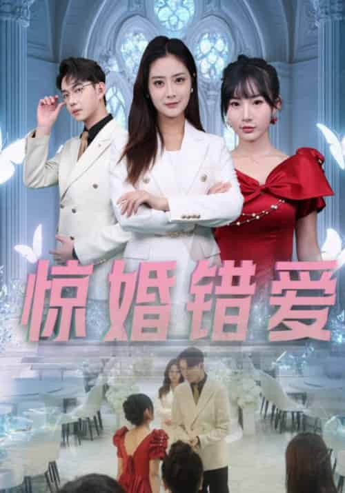 惊婚错爱（30集全）浅柔-搜外项目网