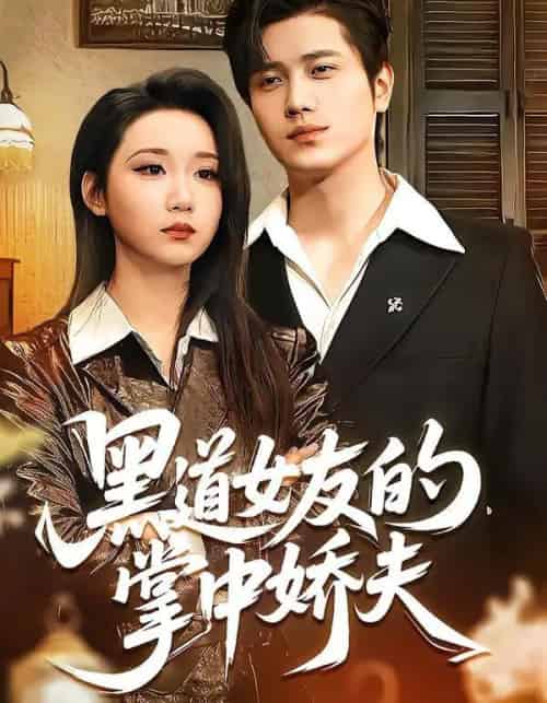 黑道女友的掌中娇夫（100集全）姜腾＆林千仟（林十八）-搜外项目网