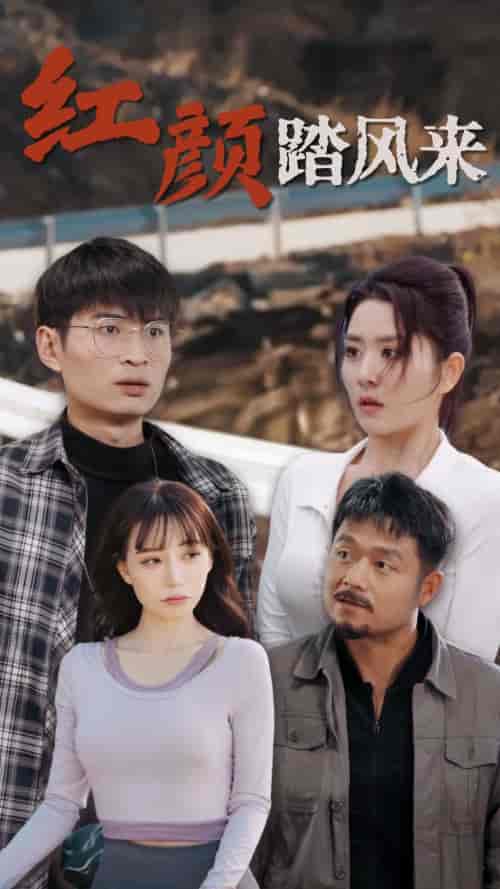 新红颜踏风来（30集全）-搜外项目网