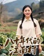 八十年代的江南村（12集）AI-搜外项目网