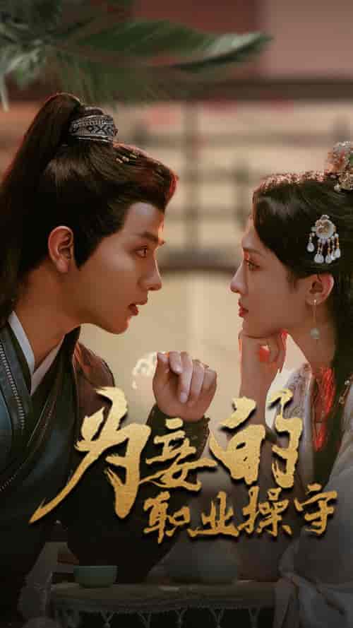 为妾的职业操守（85集全）王宇威-搜外项目网