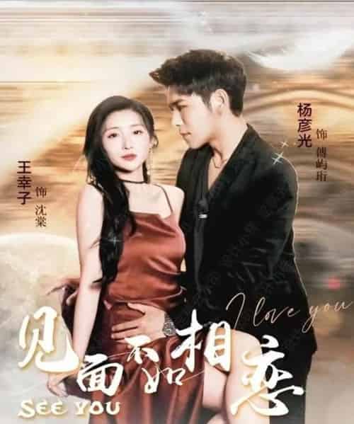 见面不如相恋（71集）杨彦光＆王幸子-搜外项目网