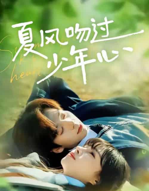 夏风吻过少年心（76集全）张文浩＆顾雨欣-搜外项目网