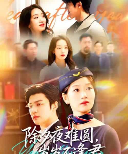 除夕夜难圆，岁岁不逢君（79集全）麦童＆李星霖-搜外项目网