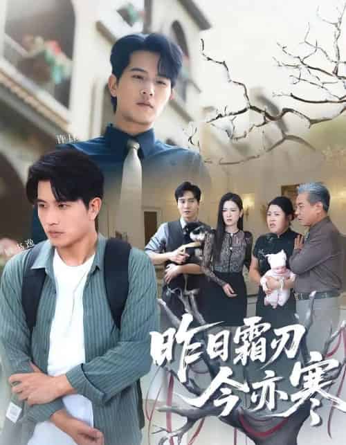 昨日霜刃今亦寒(80集)梅瑞滢&李刘朋-搜外项目网