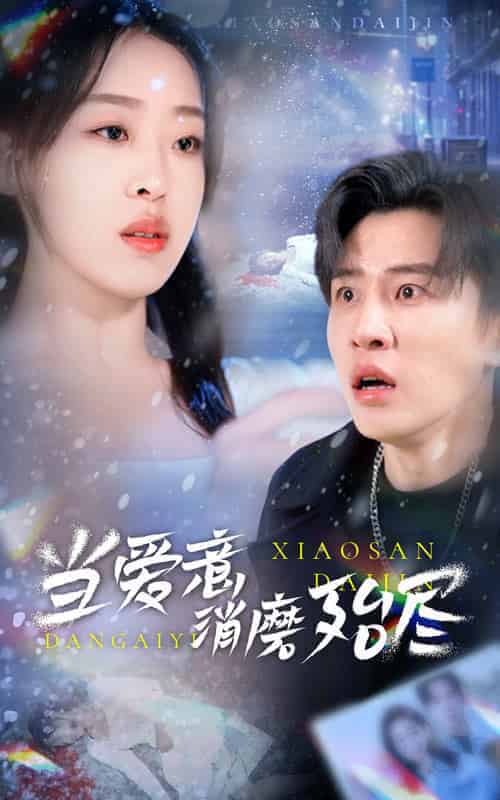 当爱意消磨殆尽（40集全）刘一隆＆赵英男-搜外项目网