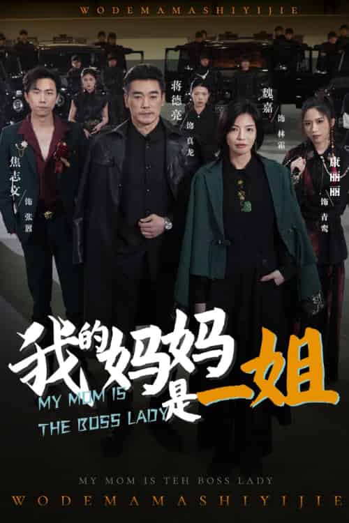 我的妈妈是一姐（62集）焦志文＆魏嘉-搜外项目网