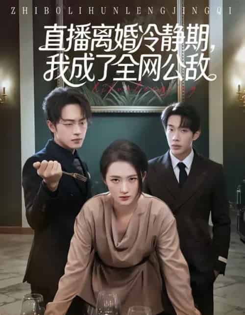 直播离婚冷静期，我成了全网公敌（70集全）于斯年＆江潼-搜外项目网
