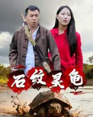 石纹灵龟（30集全）王浩＆刘灵-搜外项目网