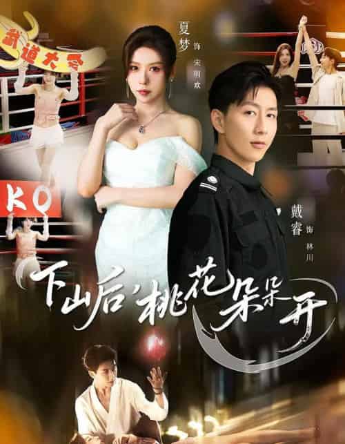 下山后，桃花朵朵开（80集全）夏梦＆戴睿-搜外项目网