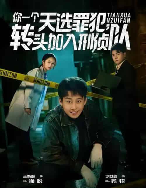 你一个天选罪犯，转头加入刑侦队（80集全）李世鑫＆王姝懿-搜外项目网