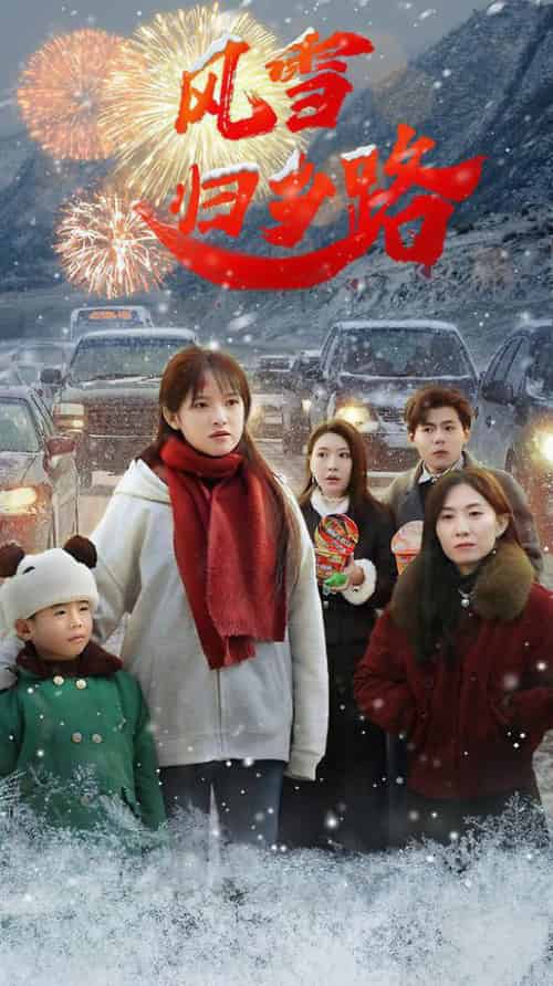 风雪归乡路（40集全）吴梦媛-搜外项目网